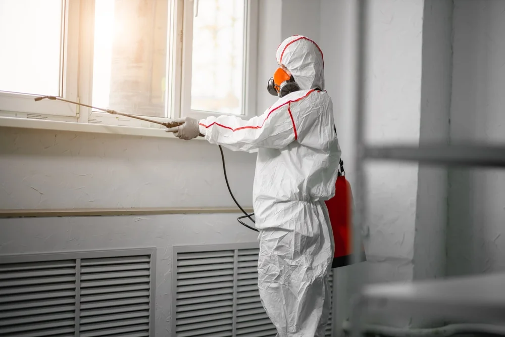 Professional mold remediation services in Winnebago, MN